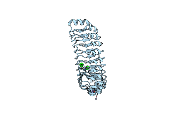 4U06 image
