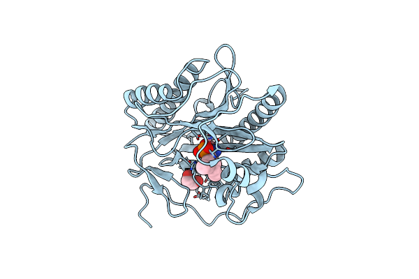 4U1B image