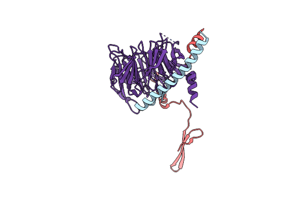 4U1E image