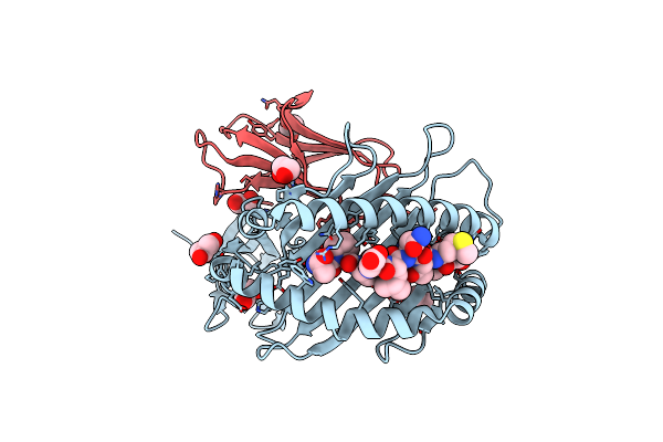 4U1I image
