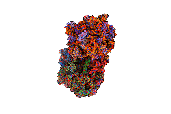 4U24 image