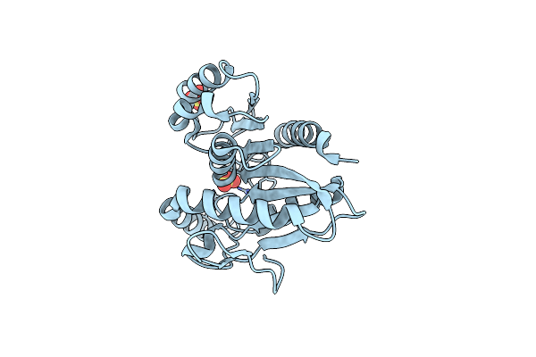 4U2B image