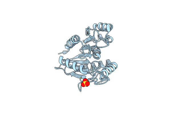 4U2C image