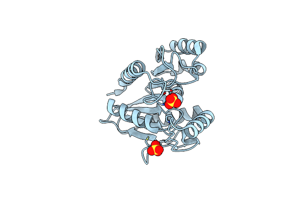 4U2D image