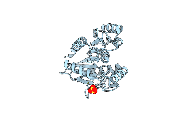 4U2F image