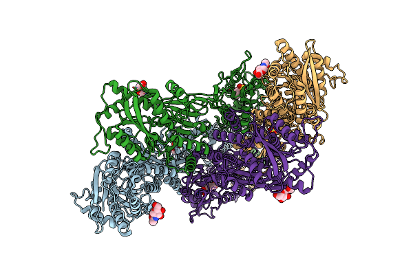 4U2P image