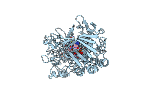 4U2T image
