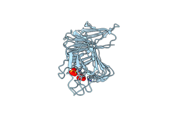 4U4B image