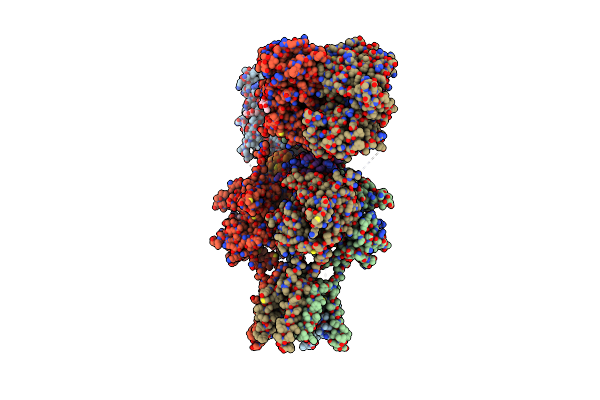 4U5D image