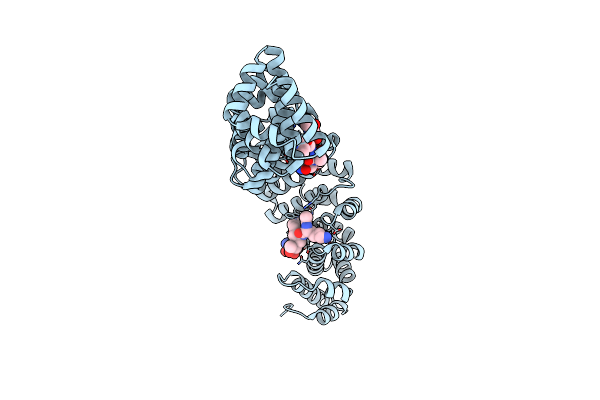4U5S image