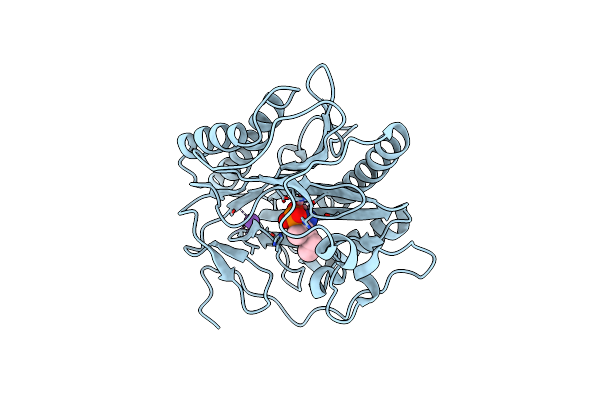 4U69 image