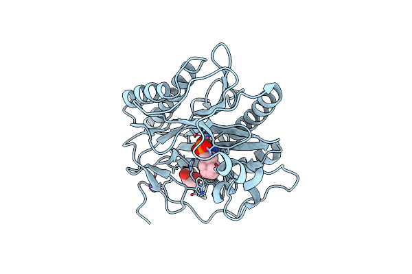 4U6C image