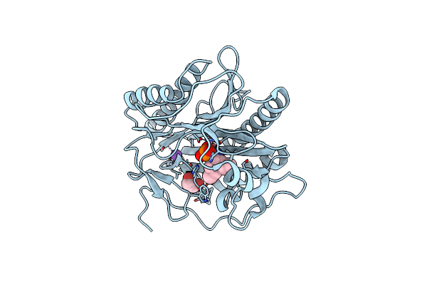 4U6W image