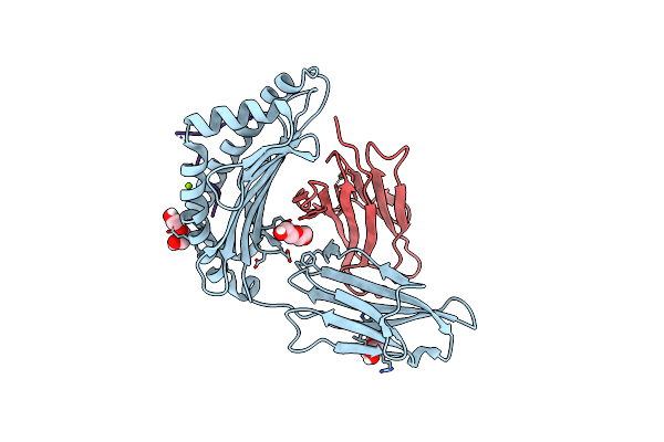 4U6X image