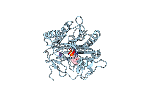 4U70 image