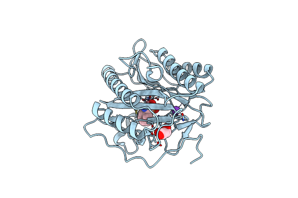 4U71 image