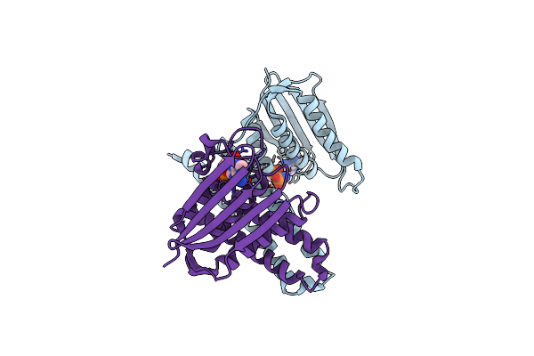4U7O image