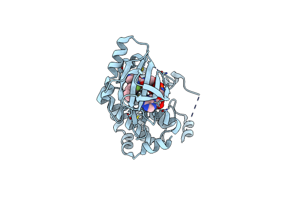 4U80 image