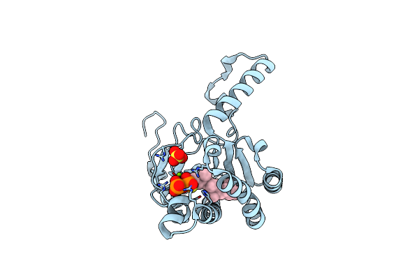 4U82 image