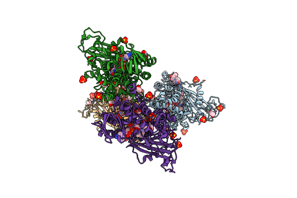 4U8P image