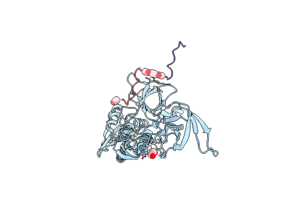 4U91 image
