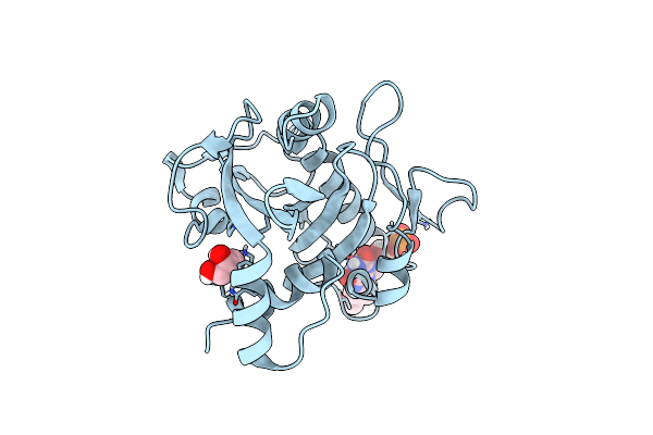 4U9S image