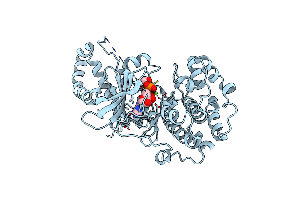 4UAK image