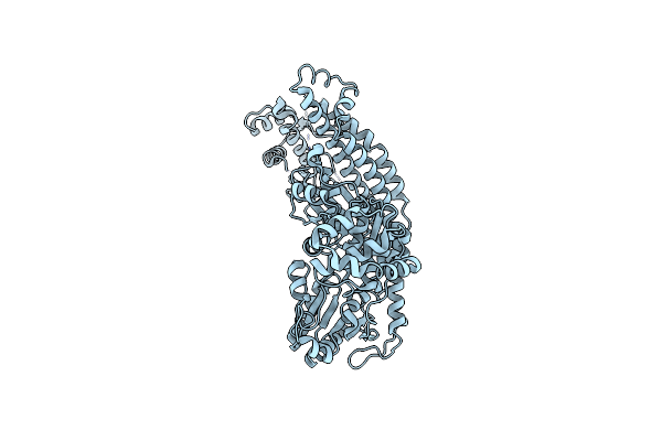 4UAQ image