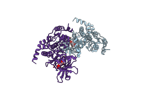 4UBA image
