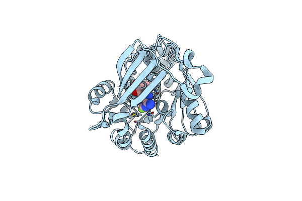 4UBE image