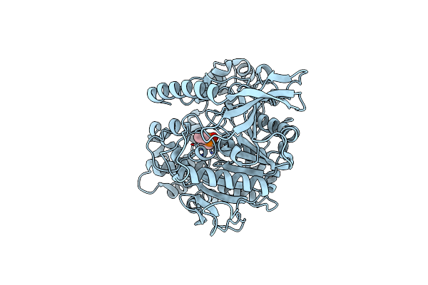 4UBM image
