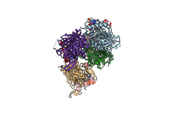 4UBT image