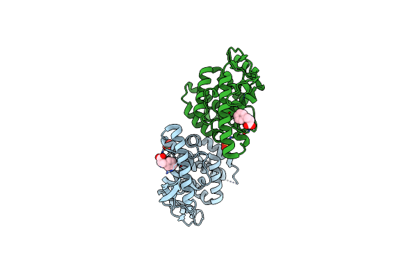 4UCB image