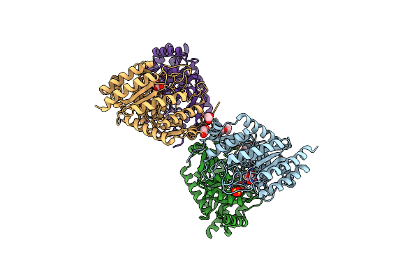 4UCG image