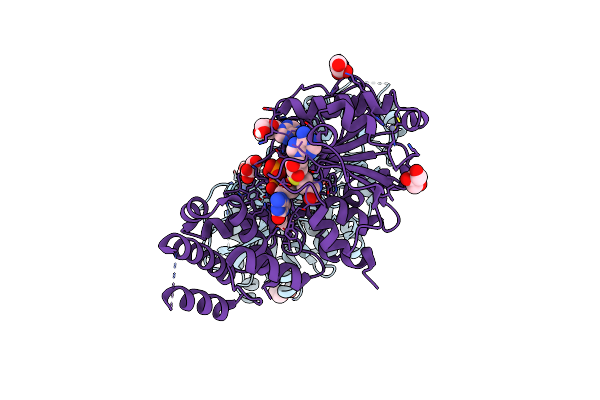 4UCI image
