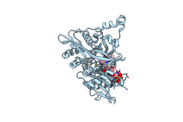 4UCM image