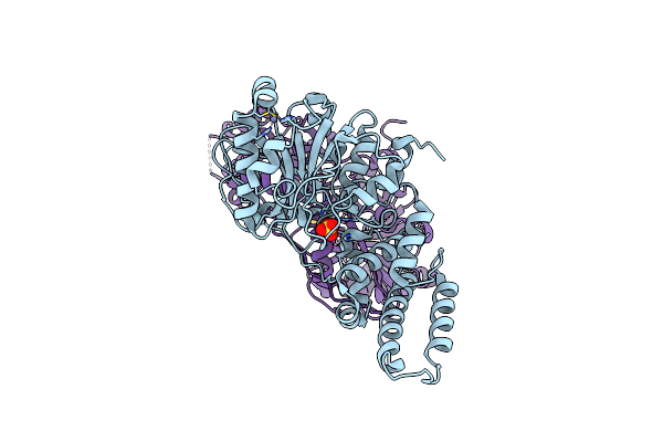 4UCY image