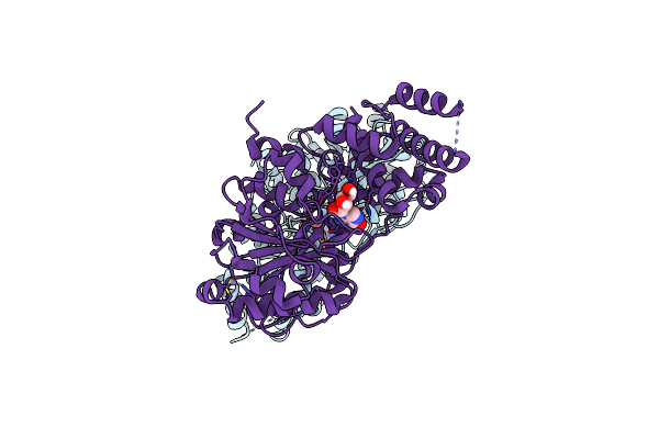 4UCZ image