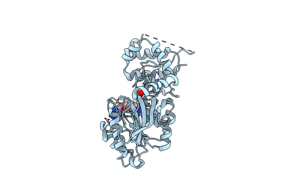 4UD0 image