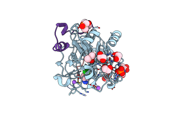4UD9 image