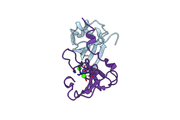 4UDM image