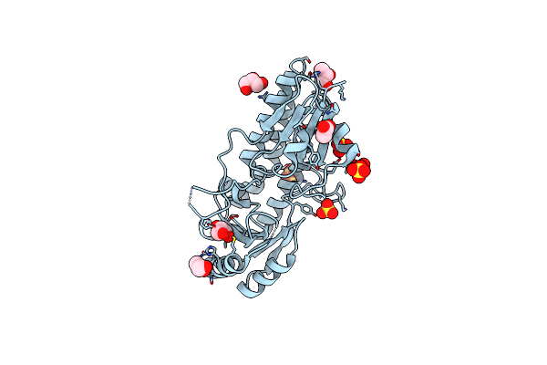 4UDN image
