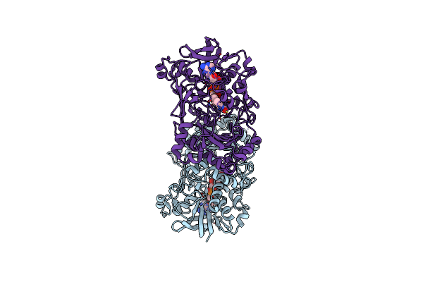 4UDP image