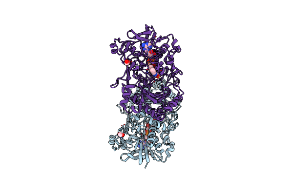 4UDQ image