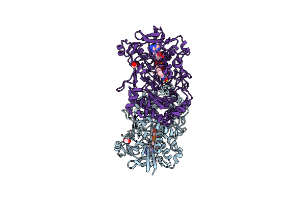 4UDR image