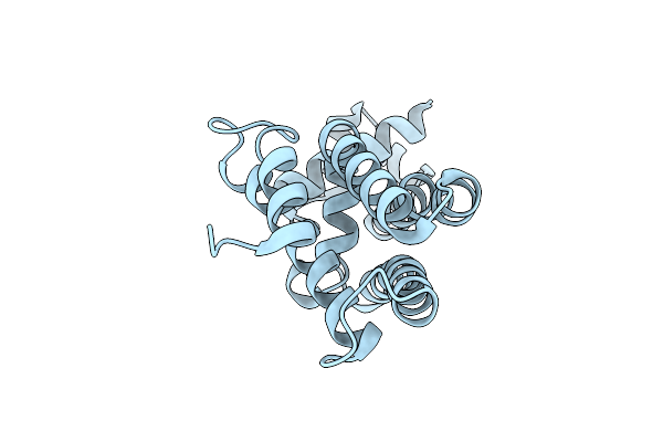 4UDS image