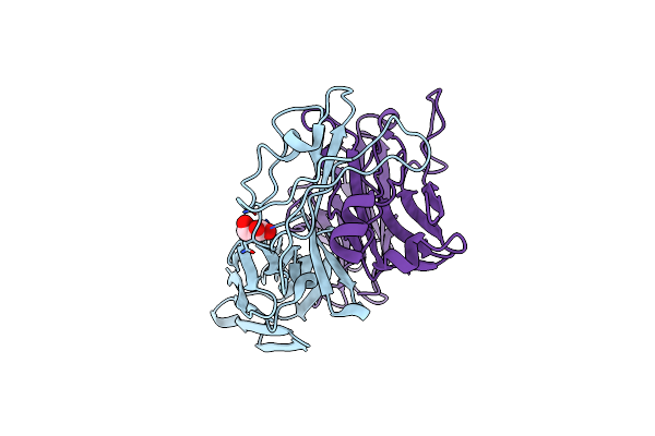 4UDT image