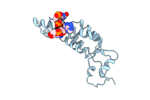 4UDV image