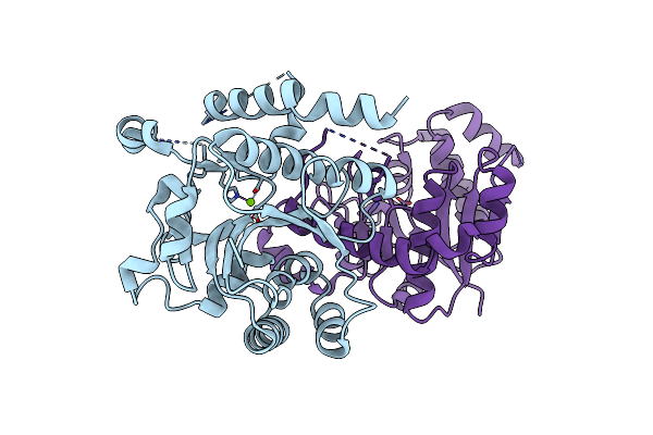 4UEG image