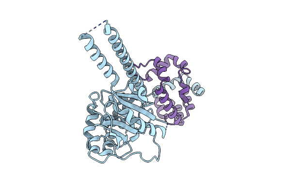 4UEM image